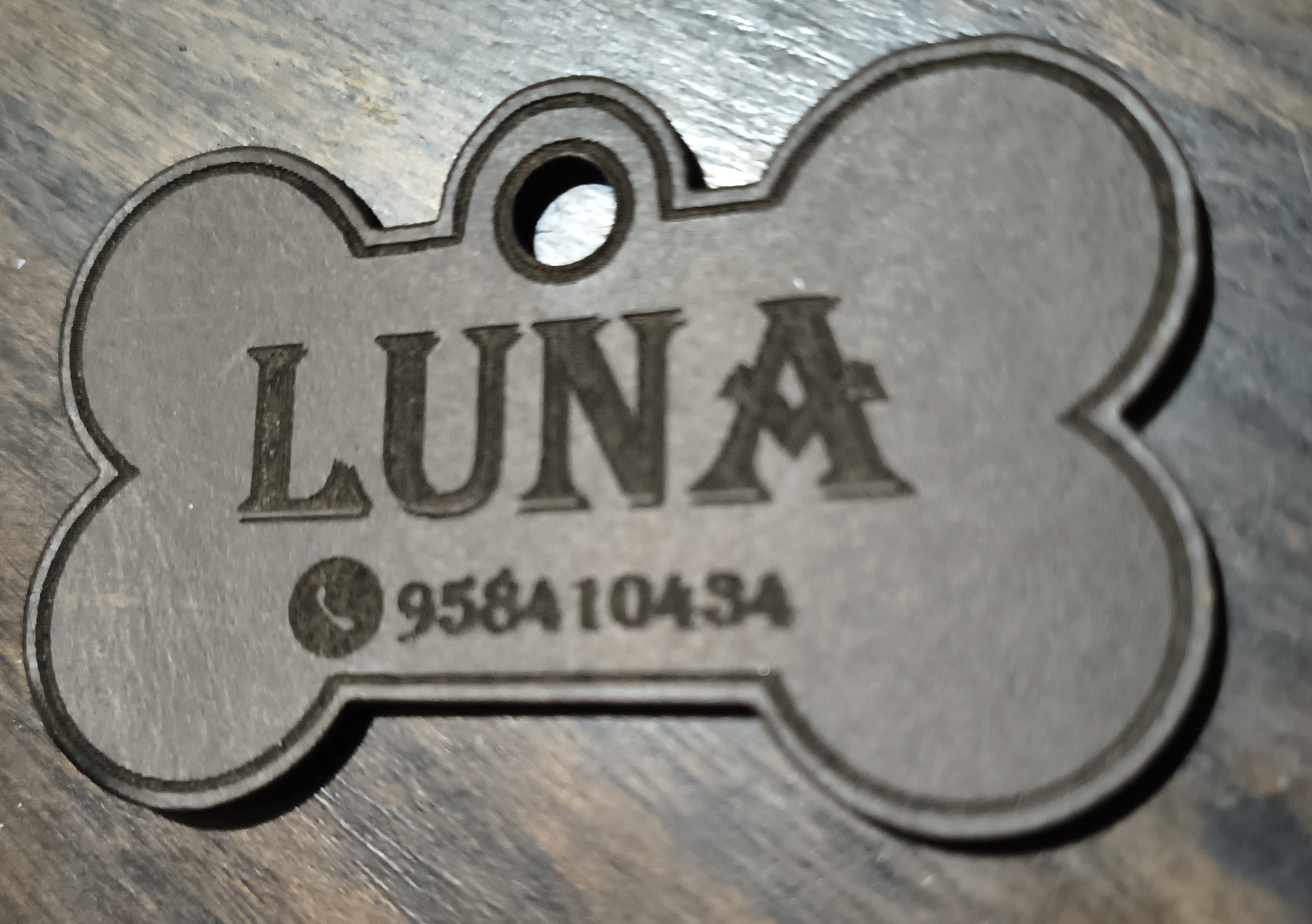 Placa de Identificación Personalizable para Mascotas